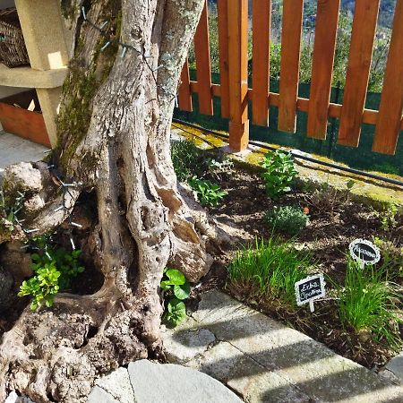 Villa Amphiorama La Spezia Exterior foto